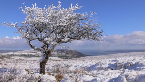 Divis Mountain in snow
